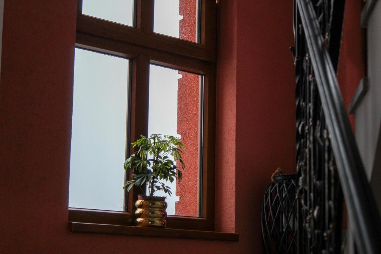 Villa Dobranic - Kuca Za Odmor Sveti Martin Na Muri Exterior foto